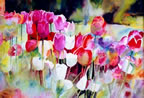 Marina Tulips #38