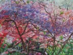 Monet's Garden